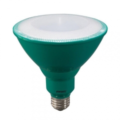 LED Par38 -  Bulb - 8 Watt - 60W Equiv - Energetic Lighting