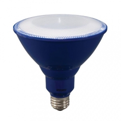 LED Par38 -  Bulb - 8 Watt - 60W Equiv - Energetic Lighting