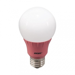 A19 LED Bulb 3 Watt (40W Equiv) by Energetic Lighting