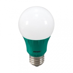 A19 LED Bulb 3 Watt (40W Equiv) by Energetic Lighting