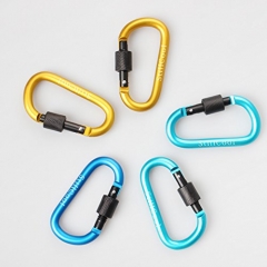 Cool88 5pcs Aluminum Carabiner D-ring Key Chain Clip Climbing Hook-- Random Color