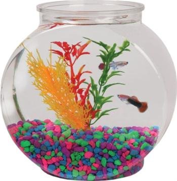 Tom Aquatics 1/2 Gallon Flat-Sided Plastic Fish Bowl