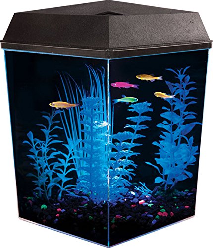 KollerCraft API Aquaview Corner Aquarium Kit with LED Lighting and Internal Power Filter, 2-1/2 Gallons