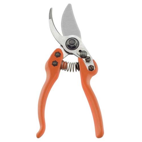 Pruning shears