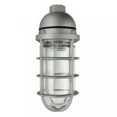 LED Jelly Jar Fixture - 9 Watt - Ceiling Mount - 60W Equiv - 800 Lumens