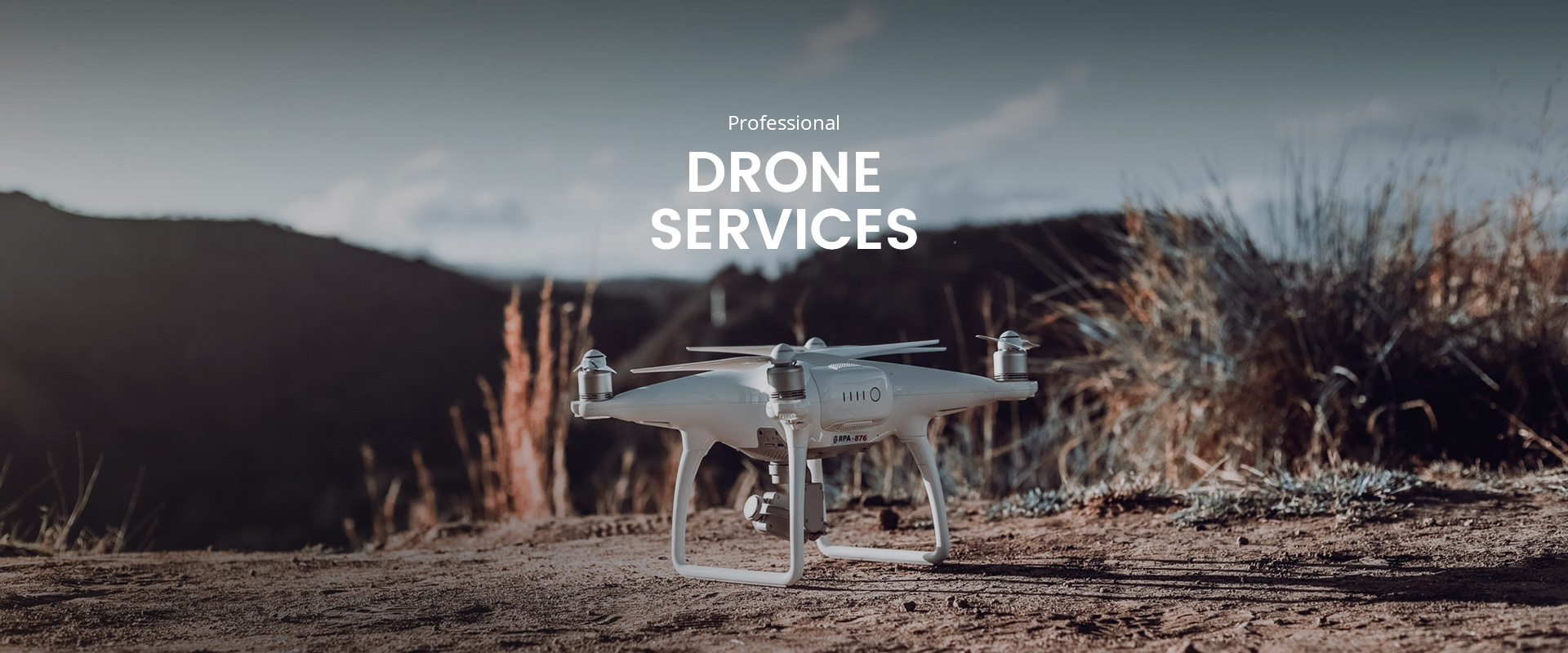 Drone Services