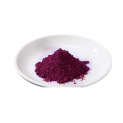 Wild Blueberry Powder Blueberry Juice Anthocyanidins 25%