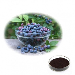 Natural European Bilberry Extract 25% Anthocyanidins 36% Anthocyanins Powder