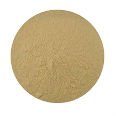 Bulk Pure Apple Cider Vinegar Extract Powder For Loss Weight