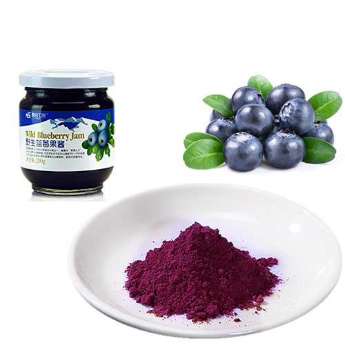 Wild Blueberry Powder Blueberry Juice Anthocyanidins 25%