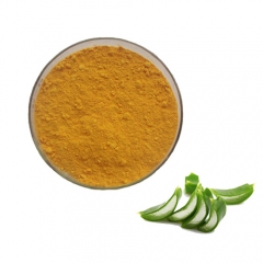 Quality And Quantity Assured Aloe vera extract from aloe vera plant as aloe vera Herbal