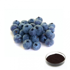 Natural European Bilberry Extract 25% Anthocyanidins 36% Anthocyanins Powder