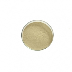 Luo han guo Natural Mogroside 25% sweetener Monk Fruit Extract momordica extract powder