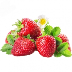 High Quality Organic Polyphenol & Vitamin C Strawberry Extract Fruit Powder