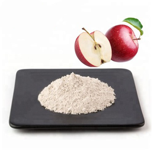 Apple Extract Polyphenol 80% for Anti Oxidant