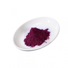 Wild Blueberry Powder Blueberry Juice Anthocyanidins 25%