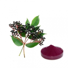 Natural Organic Elder Berry Powder Extract Anthocyanidins 25%