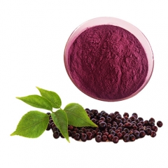 High Quality Natural elderberry extract anthocyanidin