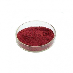 Reliable Quality 100% Natural Organic Blueberry Fruit Powder