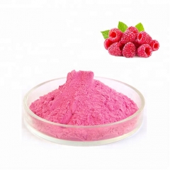 Professional Manufacturer Supply Raspberry Extract Raspberry Fruit Powder