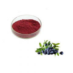 Reliable Quality 100% Natural Organic Blueberry Fruit Powder