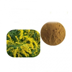 Luo han guo Natural Mogroside 25% sweetener Monk Fruit Extract momordica extract powder