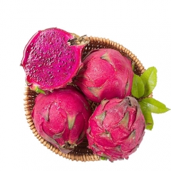 Pitaya extract juice organic freeze dried red dragon fruit powder