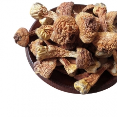 Agaricus blazei murill polysaccharide mushroom extract powder