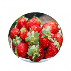 Organic freeze dried Strawberry fruit bulk juice powder