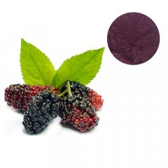 Best Price With Mullberry Fruit Extract / Mullbery Powder