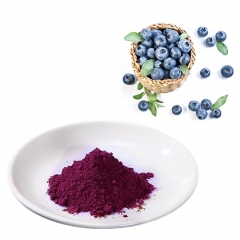 Wild Blueberry Powder Blueberry Juice Anthocyanidins 25%