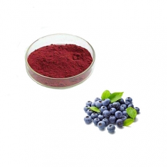 Reliable Quality 100% Natural Organic Blueberry Fruit Powder