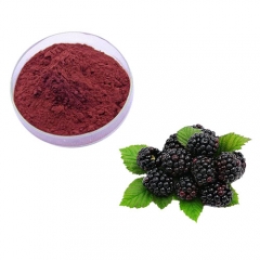 100% Pure Mul berry Leaf Extract Mul  berry Powder,Mul berry Fruit Powder