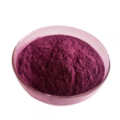 High Quality Natural elderberry extract anthocyanidin