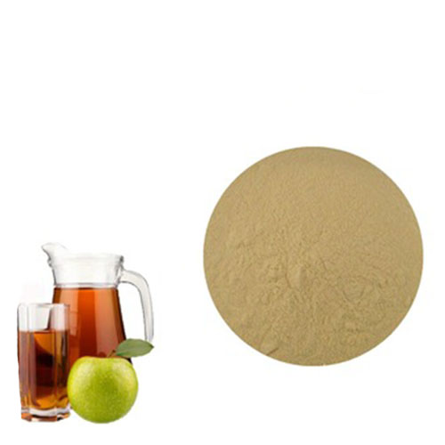 Bulk Pure Apple Cider Vinegar Extract Powder For Loss Weight