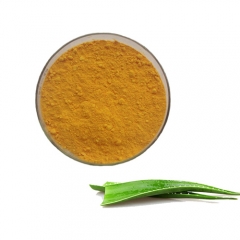 Quality And Quantity Assured Aloe vera extract from aloe vera plant as aloe vera Herbal