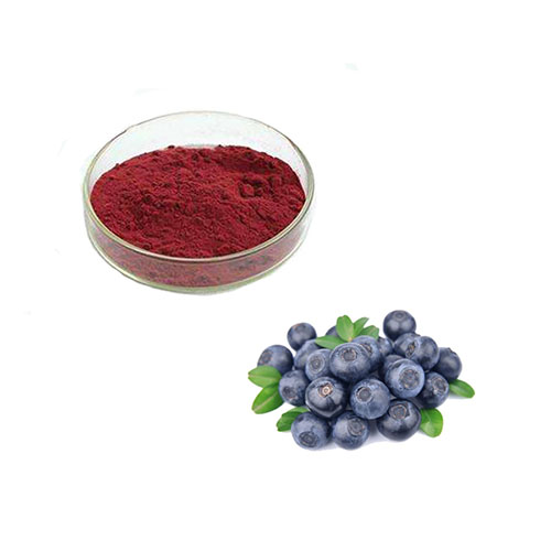 Reliable Quality 100% Natural Organic Blueberry Fruit Powder