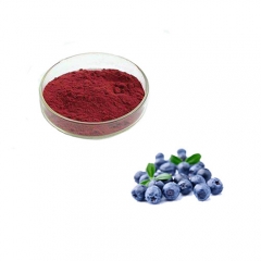 Reliable Quality 100% Natural Organic Blueberry Fruit Powder