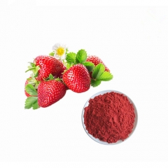 High Quality Organic Polyphenol & Vitamin C Strawberry Extract Fruit Powder