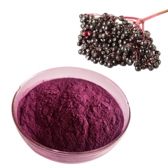 High Quality Natural elderberry extract anthocyanidin