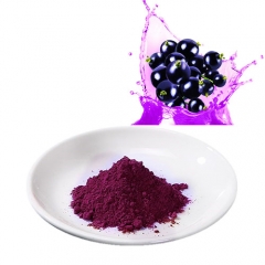 Wild Blueberry Powder Blueberry Juice Anthocyanidins 25%