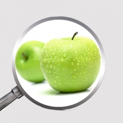 Apple Extract Polyphenol 80% for Anti Oxidant