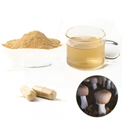 Agaricus blazei murill polysaccharide mushroom extract powder