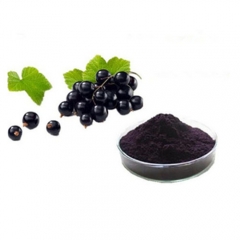 Fruit Black currant anthocyanin extract powder for healthcare