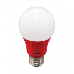 A19 LED Bulb 3 Watt (40W Equiv) by Energetic Lighting