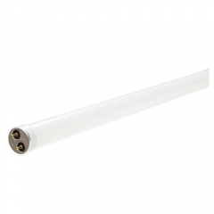 T8 4ft LED Tube - 12W - Universal - Double Ended Power