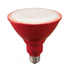 LED Par38 -  Bulb - 8 Watt - 60W Equiv - Energetic Lighting