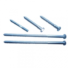 Lengthen six angle screw