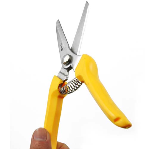 High quality stainless steel horticulture scissors