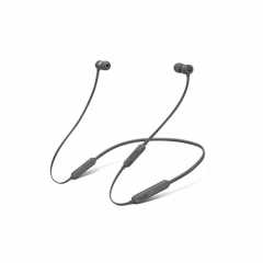 BeatsX Earphones